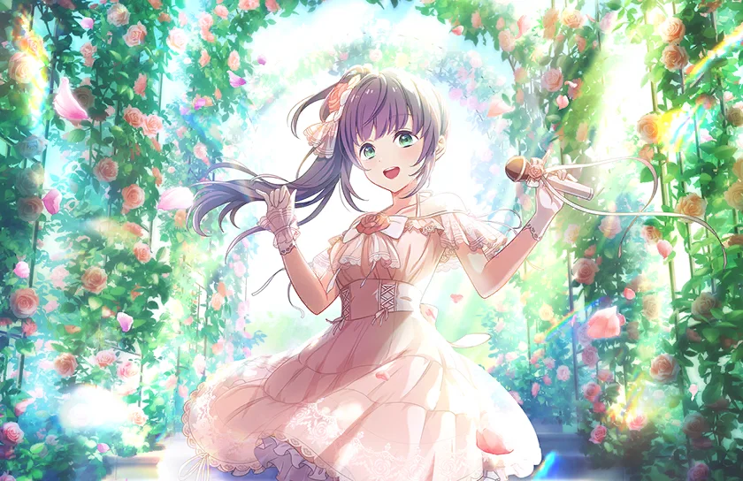 image_card_half_10214051