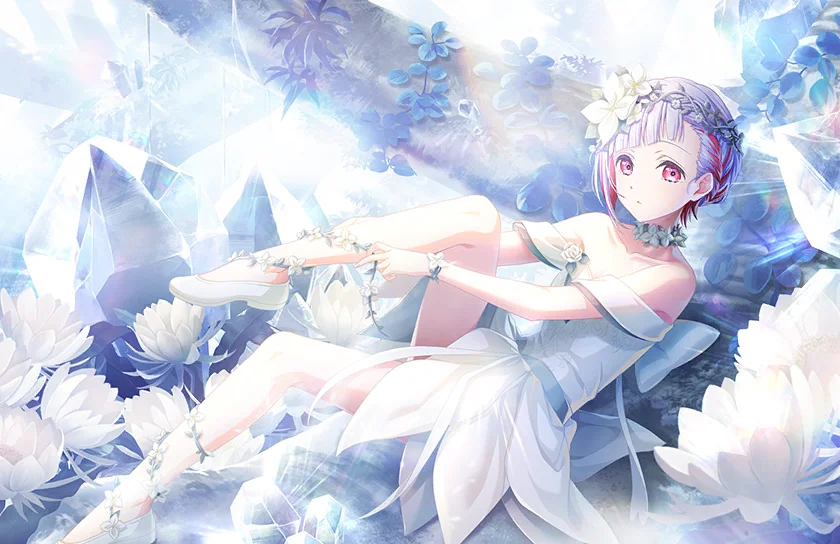 image_card_half_10228012