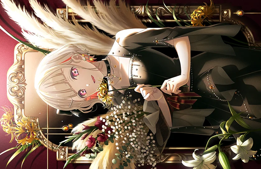 image_card_half_10229011