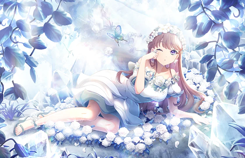 image_card_half_10238011