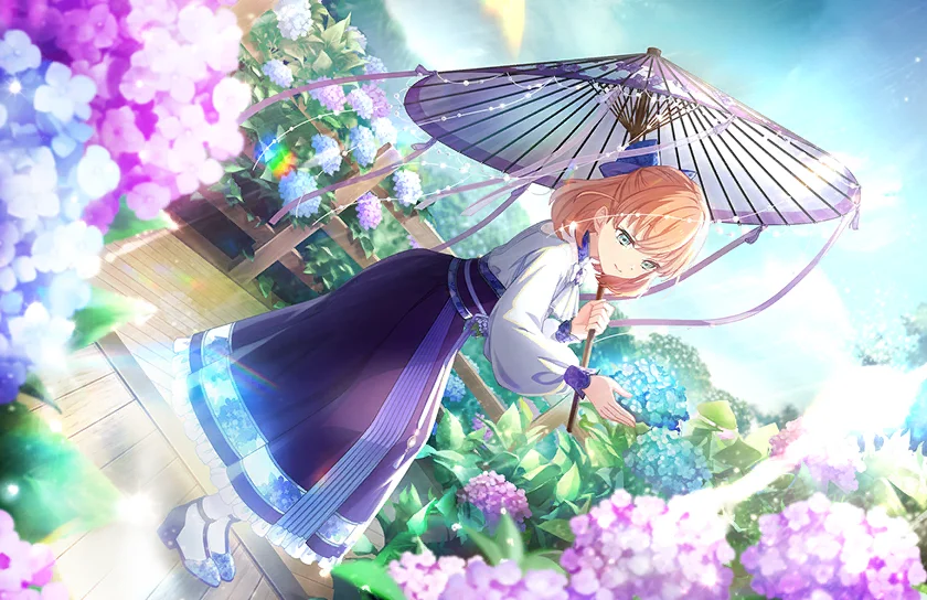 image_card_half_10314061