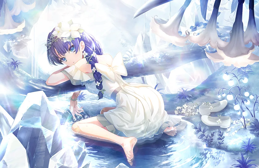 image_card_half_10328011