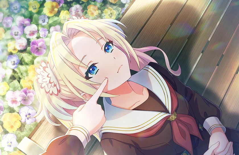 image_card_half_10334080