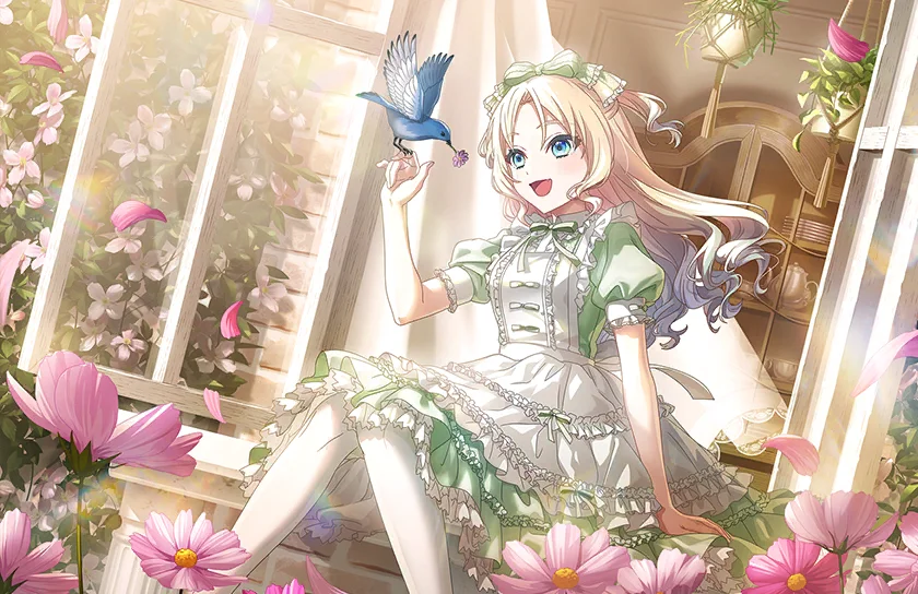 image_card_half_10335302