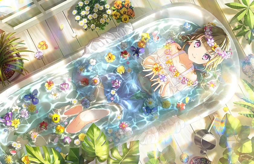 image_card_half_10425131