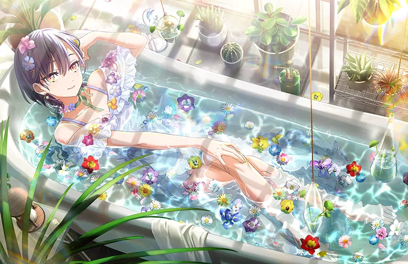 image_card_half_10514012