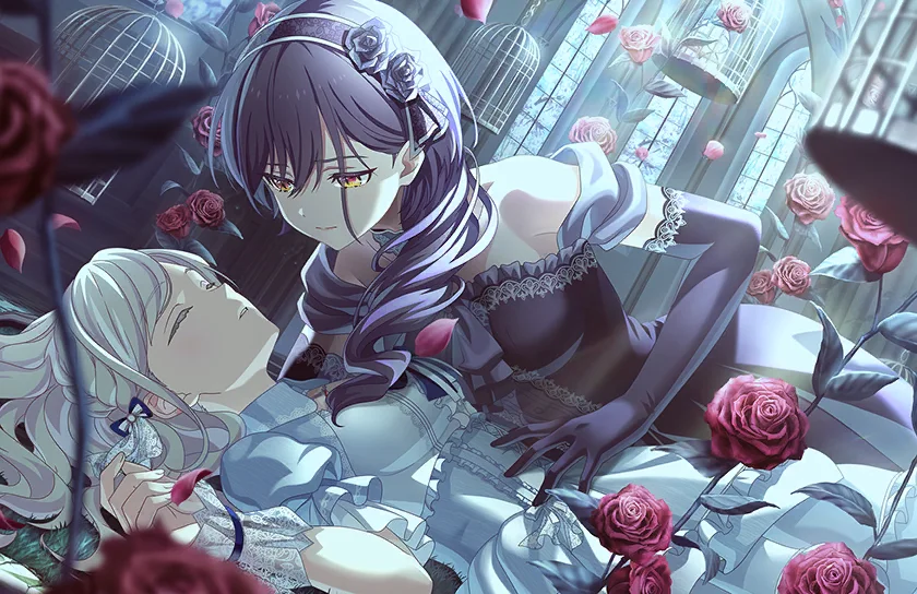 image_card_half_10514022