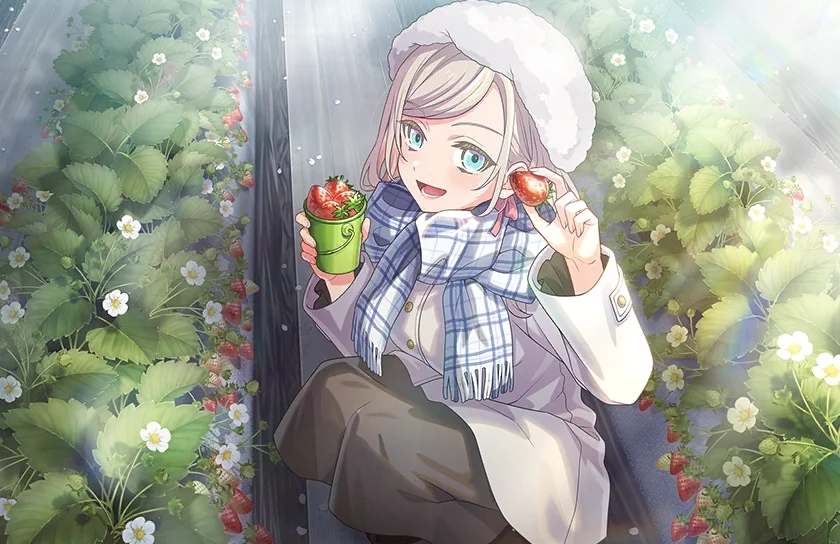 image_card_half_10524040