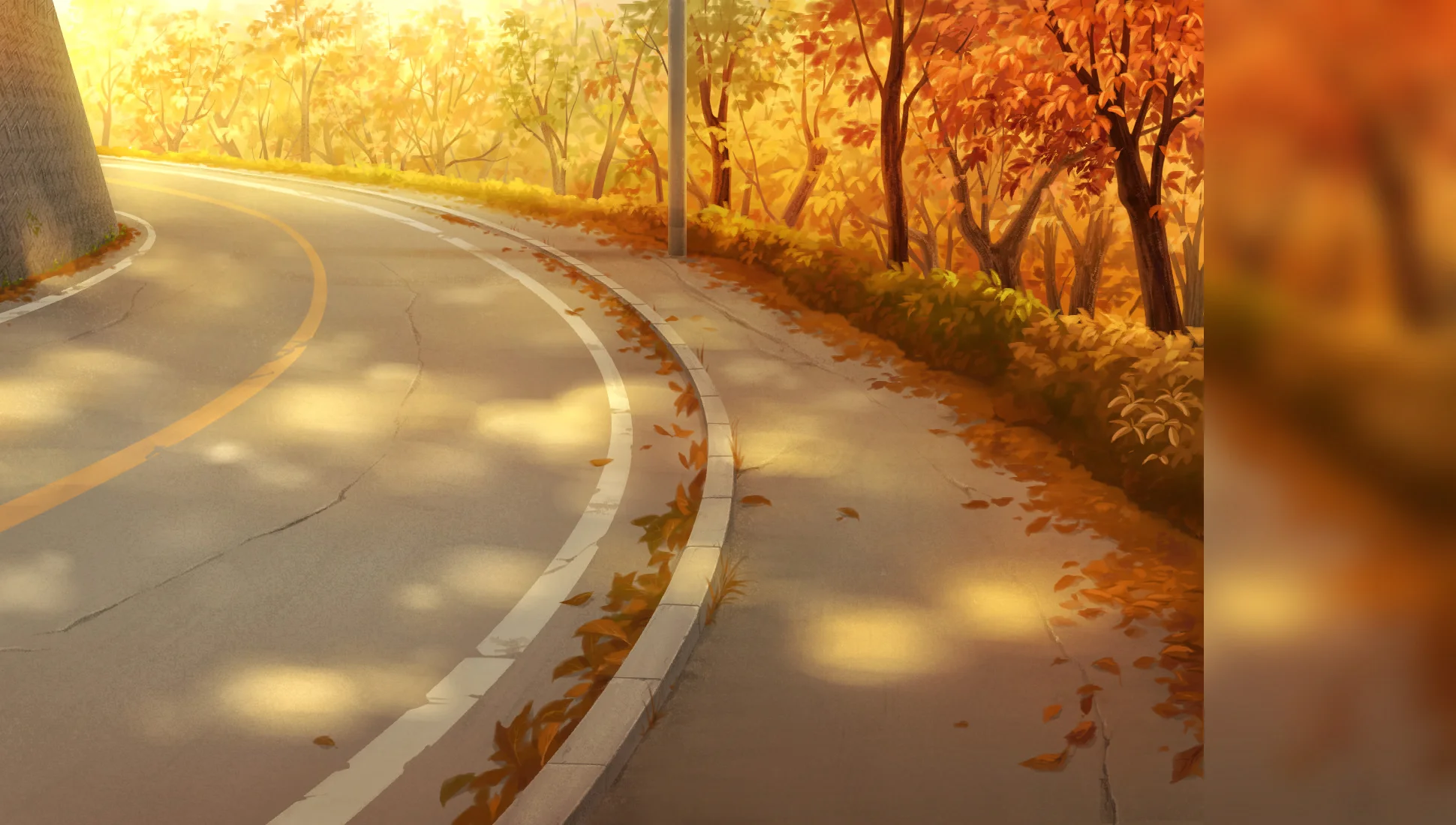 image_gacha_effect_bg_11521