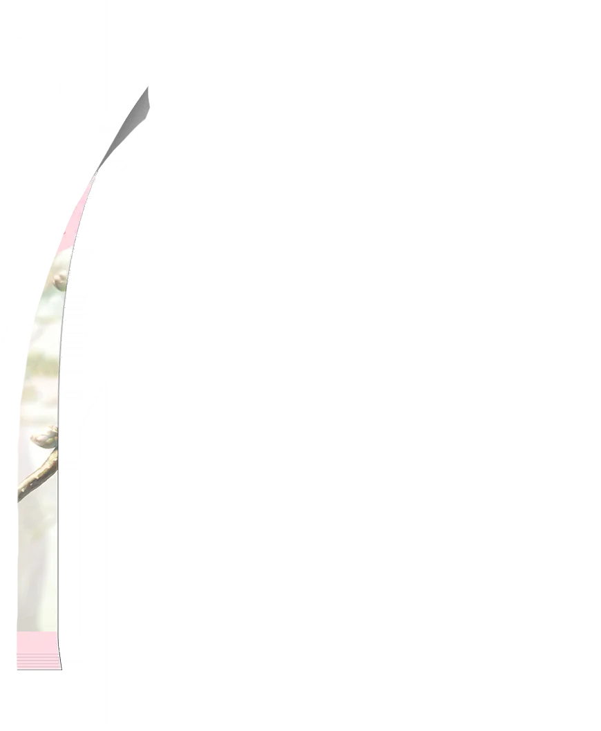 image_gacha_pack_turn_10_1050504