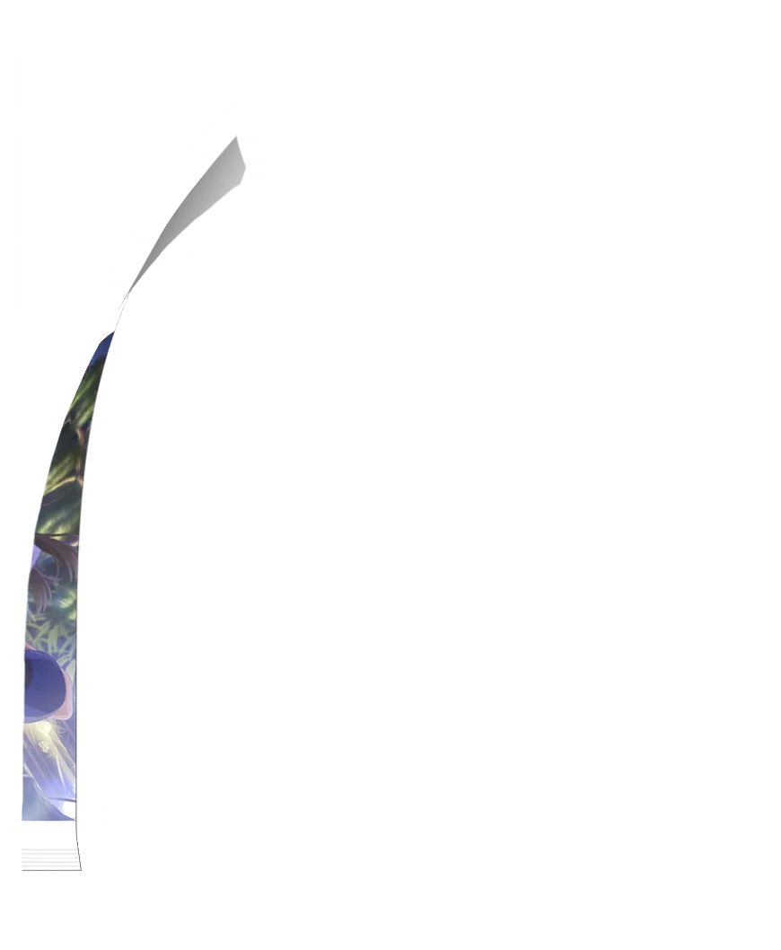 image_gacha_pack_turn_11_1040208