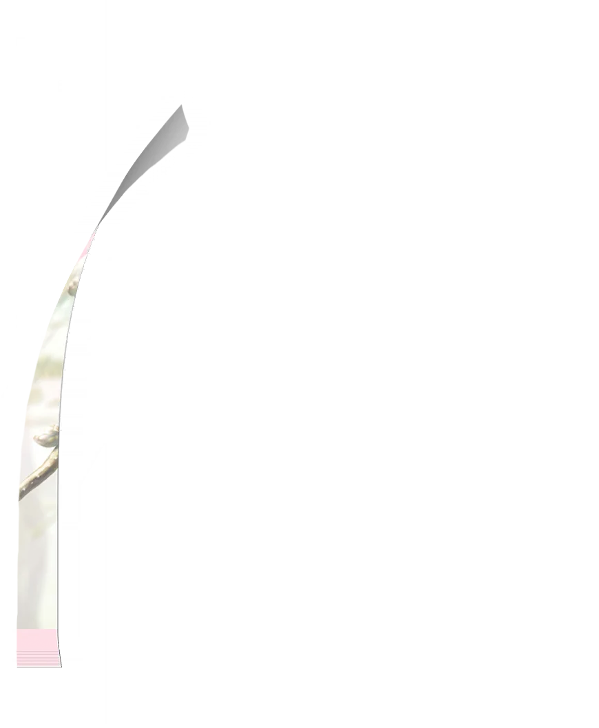 image_gacha_pack_turn_11_1050504