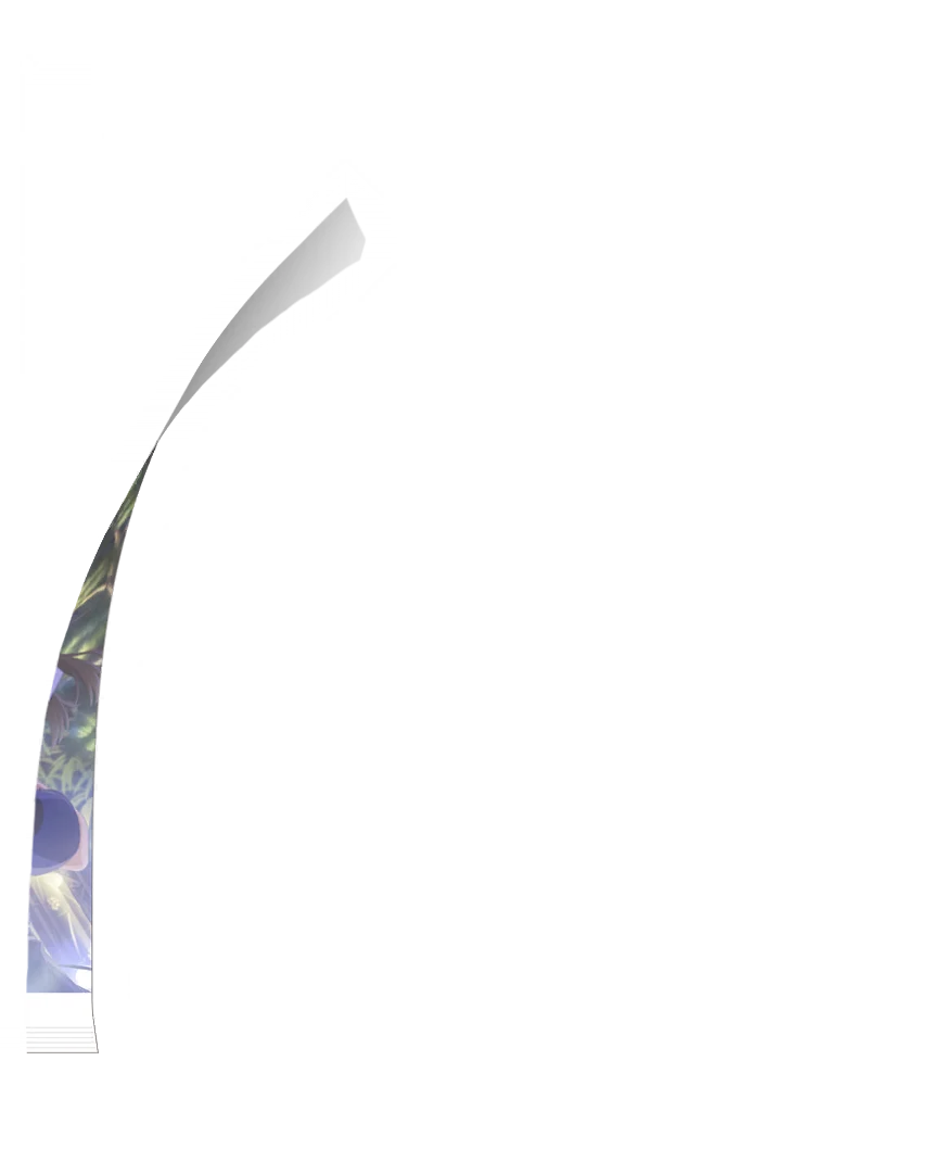 image_gacha_pack_turn_12_1040208