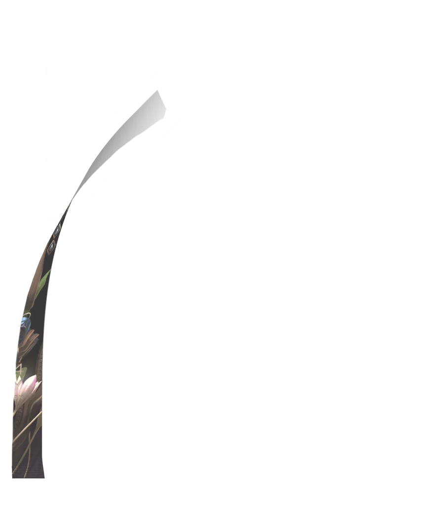 image_gacha_pack_turn_12_1041043