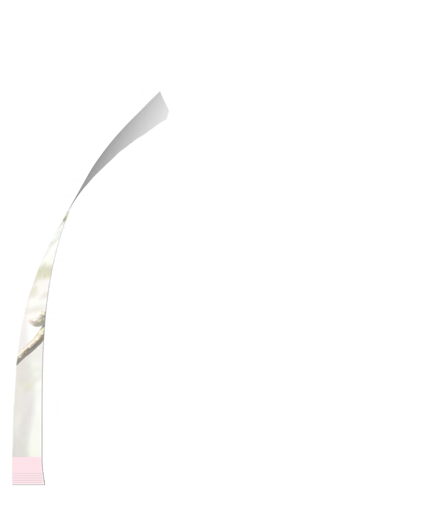 image_gacha_pack_turn_12_1050504