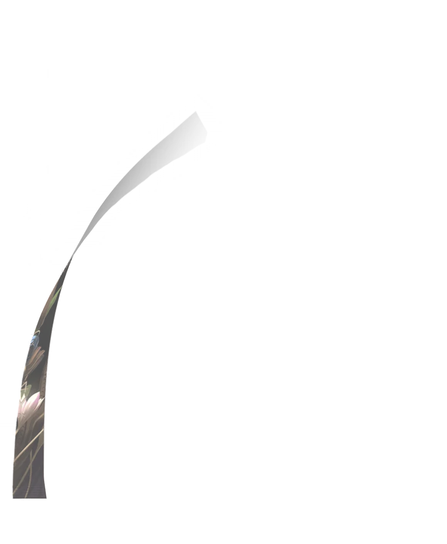 image_gacha_pack_turn_13_1041043