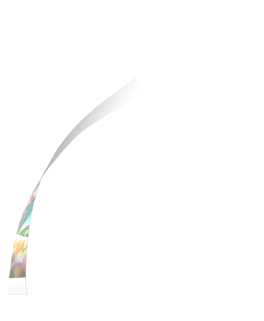 image_gacha_pack_turn_14_1050213