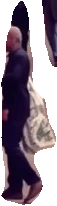 Zarif Khoshbakht