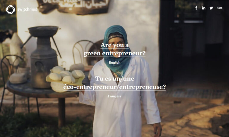 SwitchMed Entrepreneurs