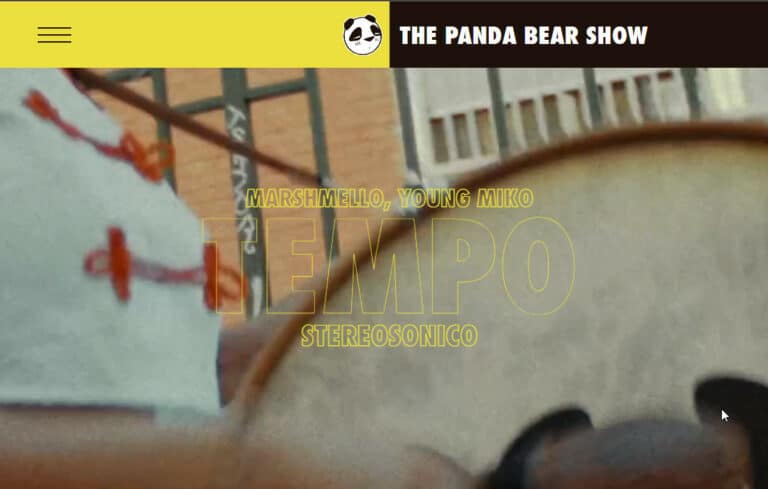 The Panda Bear Show