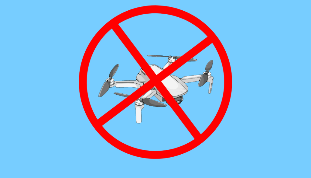 Drone Surveillance