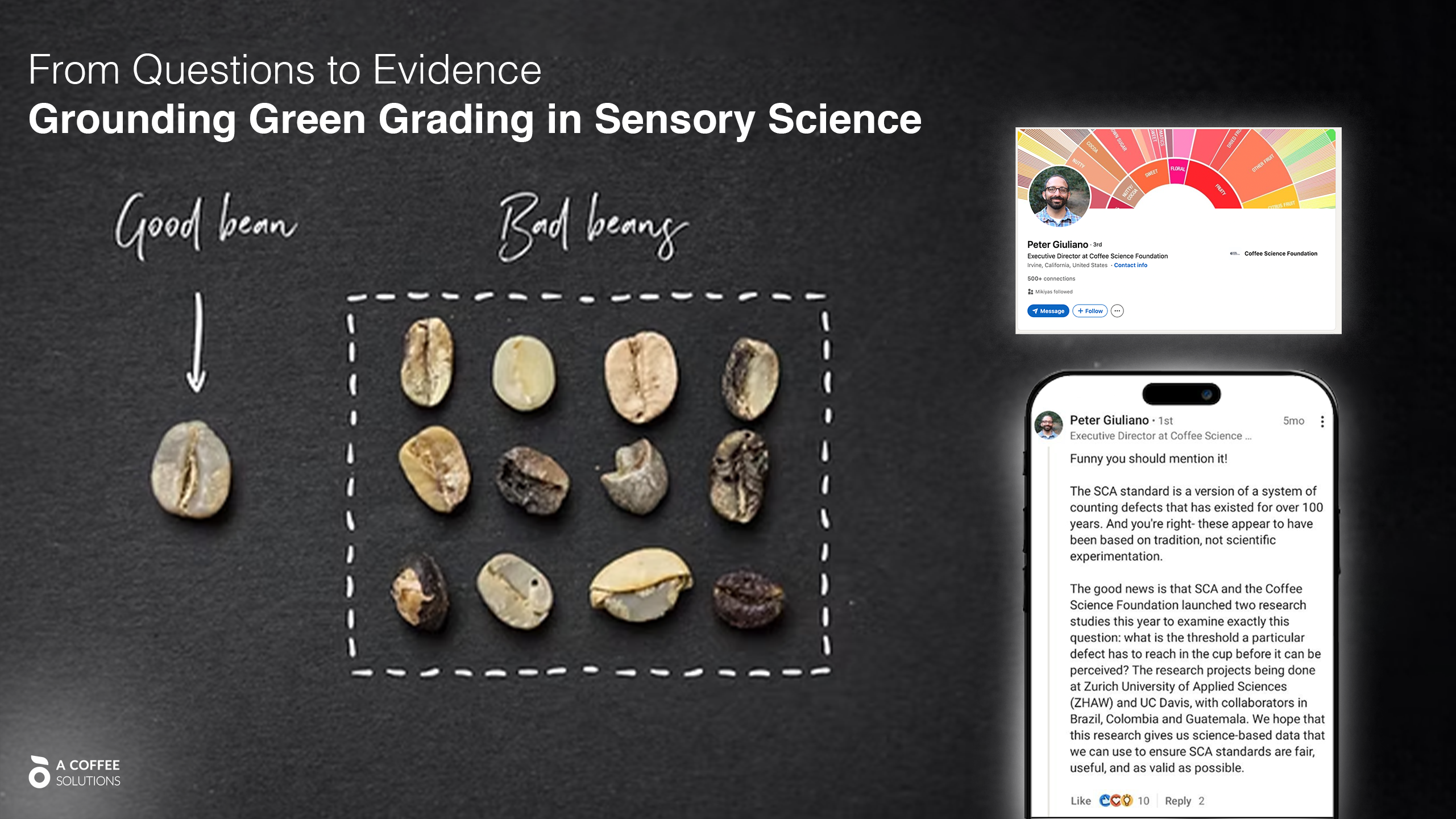 how physical defects truly affect cup flavor — grounding green grading in sensory science Thumbnail