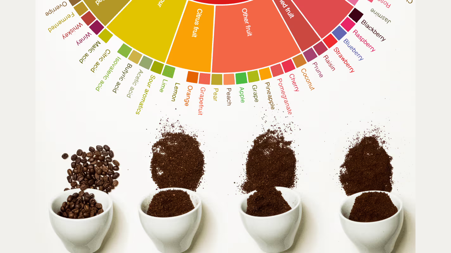 The Coffee Flavour Wheel Thumbnail