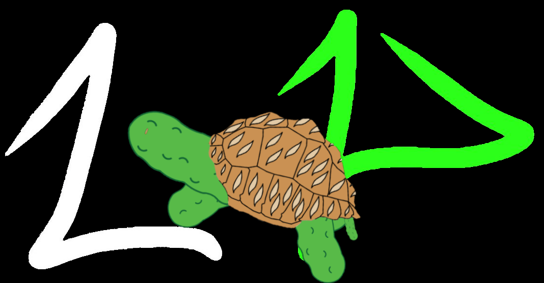 Pickle Tortoise Signed NFT on Algorand