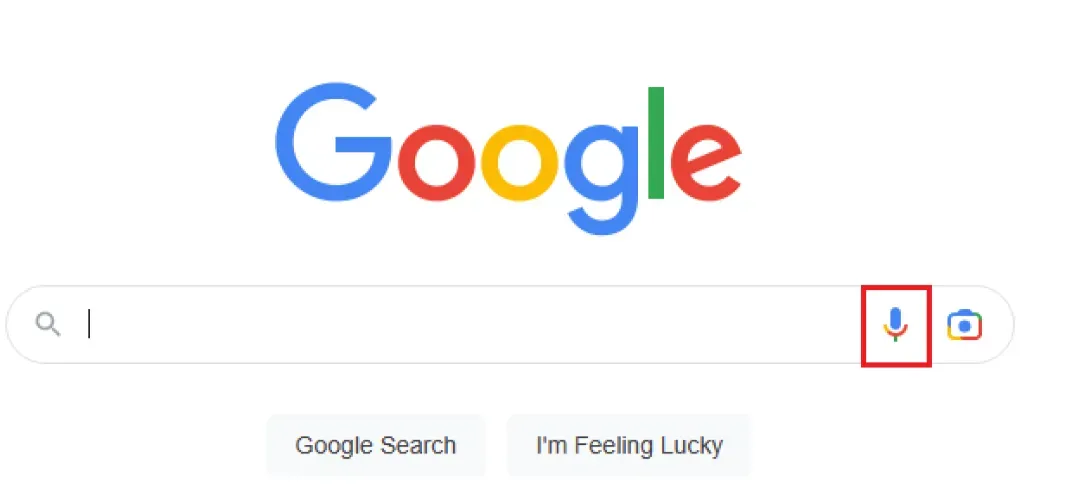 The voice search button on the Google homepage