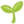 🌱