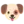 🐶