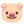 🐷