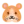 🐹