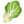 🥬