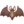 🦇