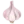 🧄