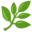 🌿