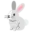🐇