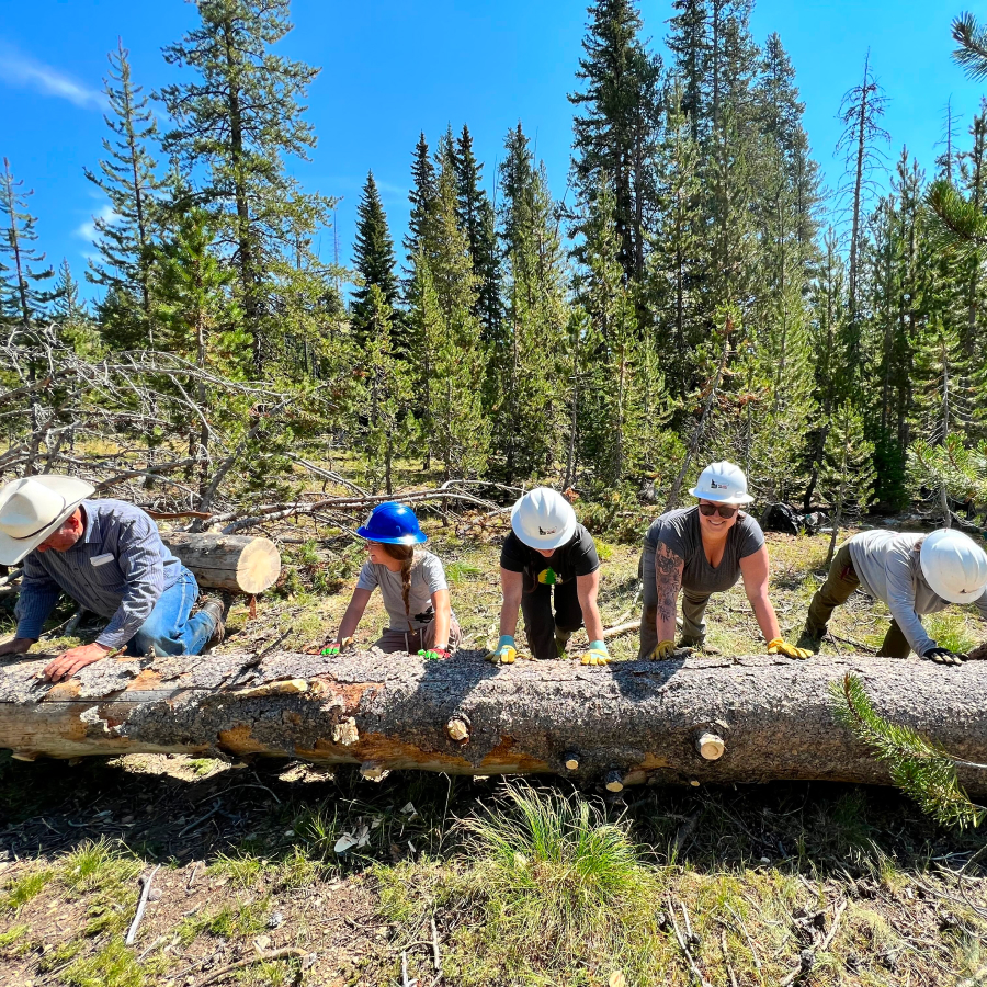 volunteer image