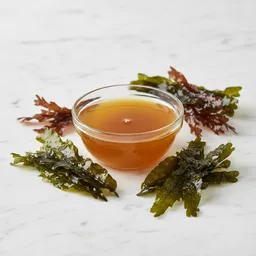 Seaweed Extract Coating