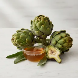 Artichoke Extract