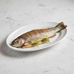 Baked Trout