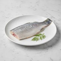 Barramundi Fillet