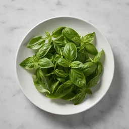 Basil Leaves