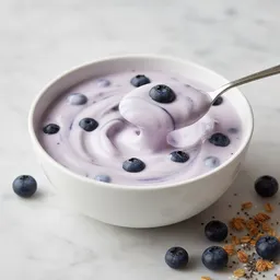 Blueberry Yogurt