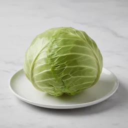 Cabbage