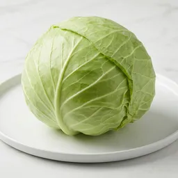Cabbage
