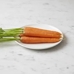 Carrot