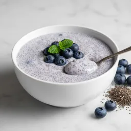 Blueberry Chia Pudding