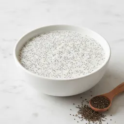 Chia Seed Pudding